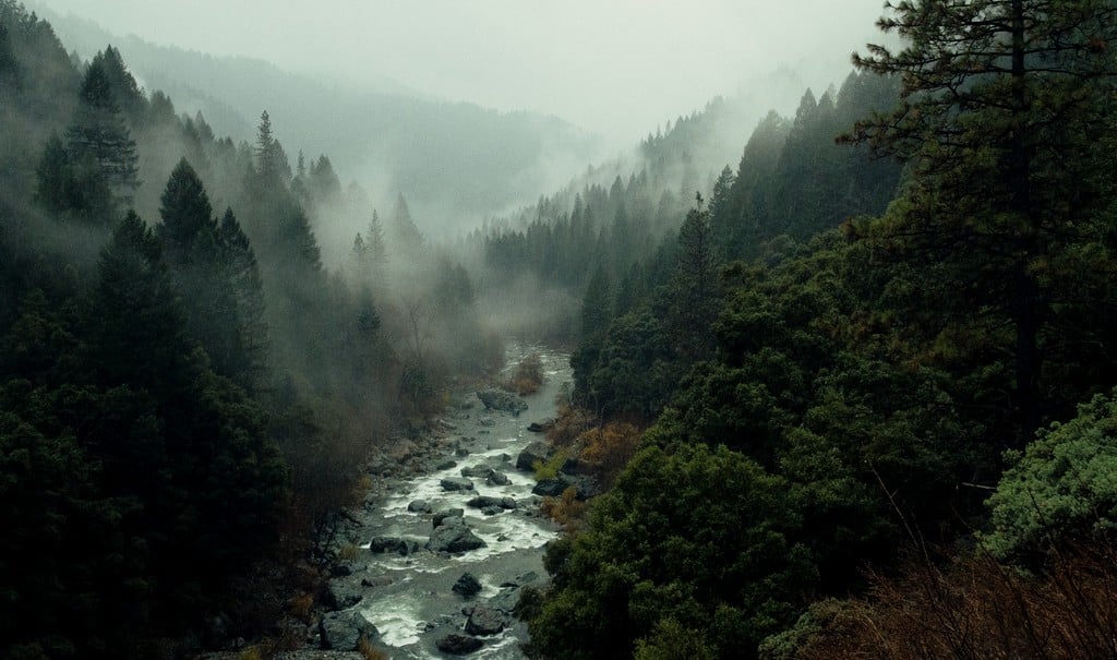 Immagine di un fiume che attraversa un paesaggio boschivo con nebbia
